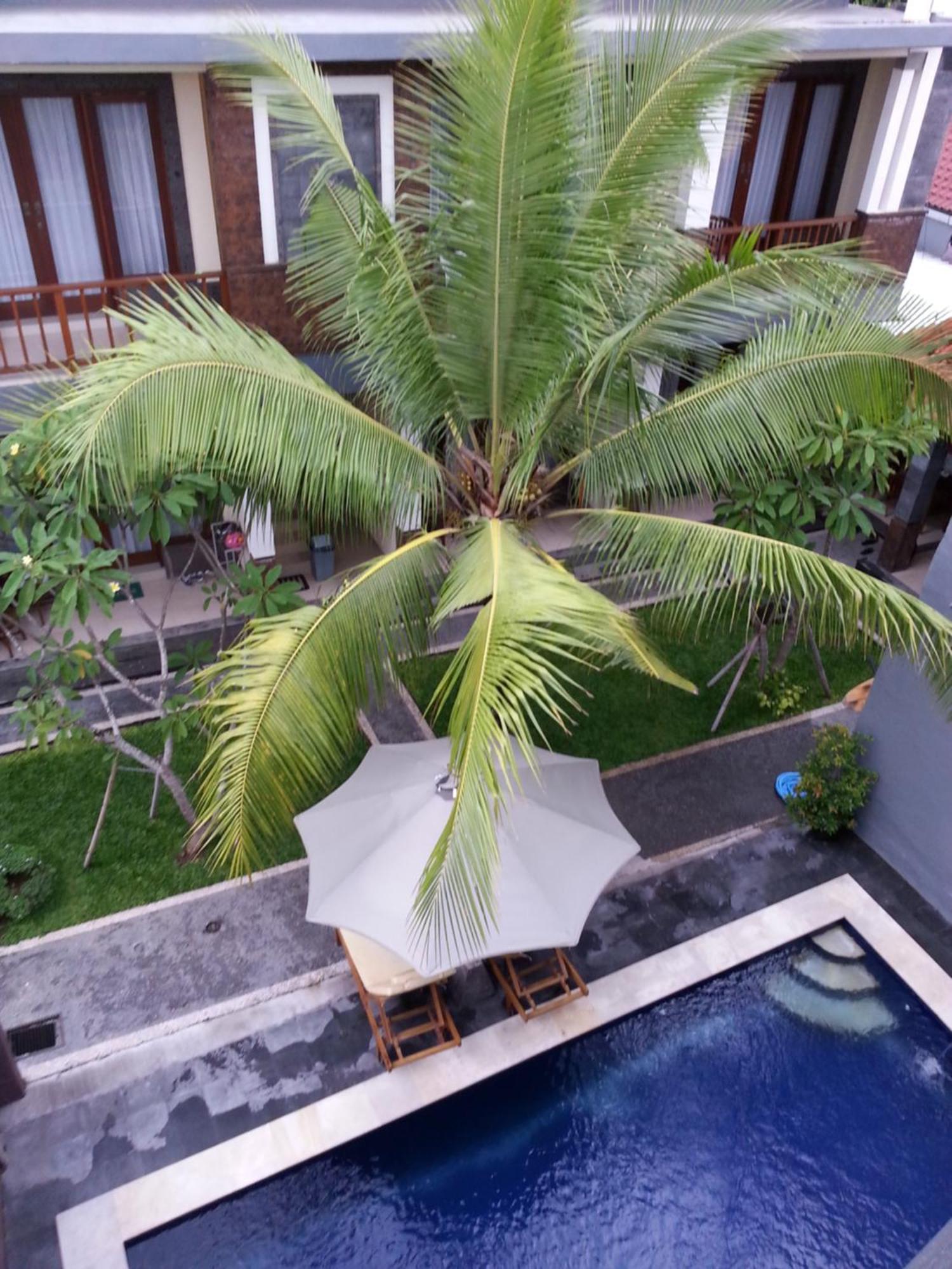 Dabumito Guest House Canggu Εξωτερικό φωτογραφία
